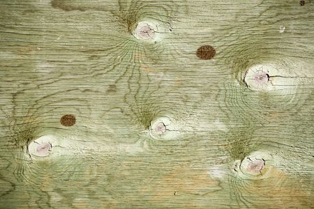 Photo of some green stained plywood with interesting grain and knots.