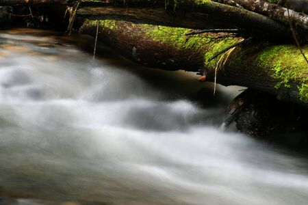 Photo of rushing water and a fallen, mossy log