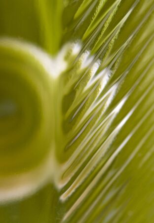 Photo of some very abstract green glass: best for a background.の写真素材