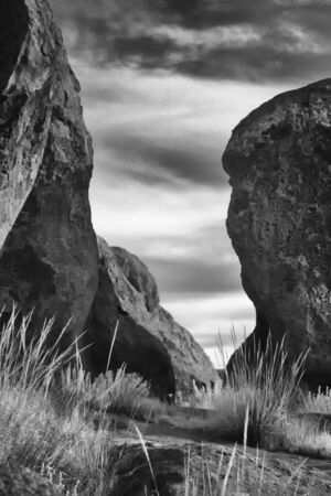 City of Rocks State Park: Faywood, New Mexico. Black and white fine art print.の写真素材