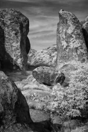 City of Rocks State Park: Faywood, New Mexico. Black and white fine art print.の写真素材