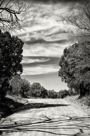 Black and white photo of a dirt road in Pinos Altos, New Mexico. の写真素材