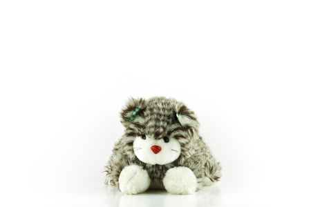 Cat doll.の写真素材