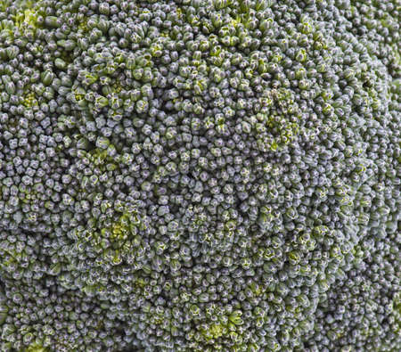 Close-up photos of the surface Broccoli.