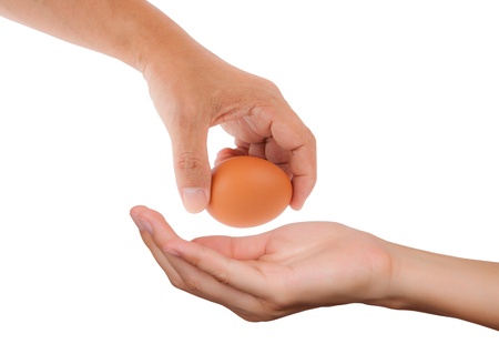 hand holding egg isolated on white background