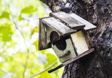 Bird house hanging on a tree.の写真素材