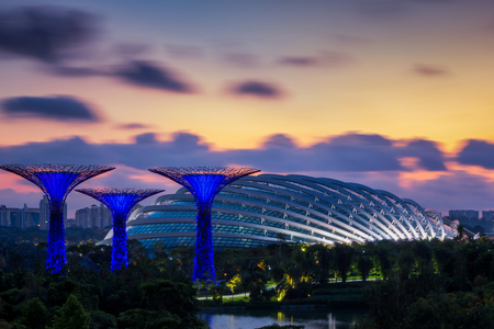 SINGAPORE - JUN 28: Night view of Supertree Grove at Gardens by the Bay on JUN 28, 2015 in Singapore.のeditorial素材