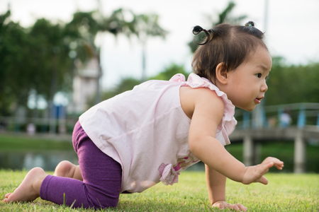 Asian baby girl crawling on the lawn at the park.の写真素材