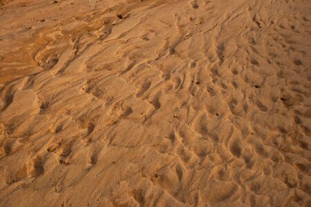 The ground is sandy brown wavesの写真素材