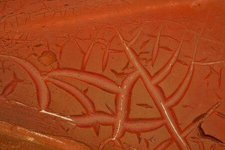 Pattern seen as a dry red artの写真素材