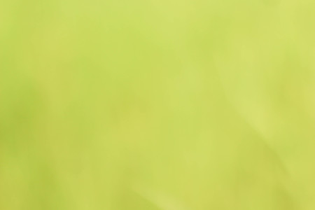 green background textures.の写真素材