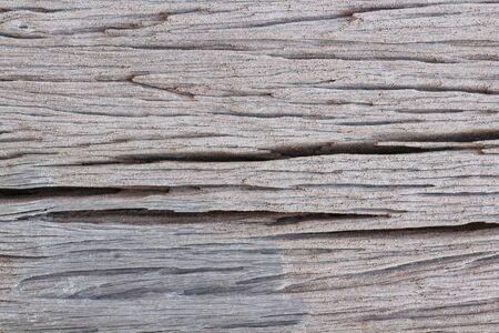 wood cracked background textures.の写真素材