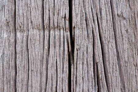 wood cracked background textures.の写真素材