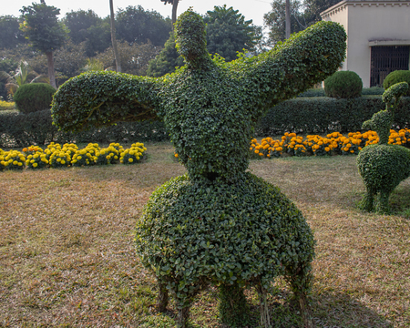 This is a topiary of bird shoot on a sunny dayの写真素材