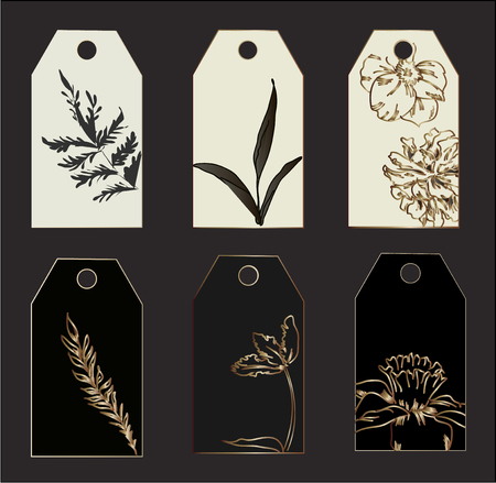 Collection of golden premium botanicalのイラスト素材