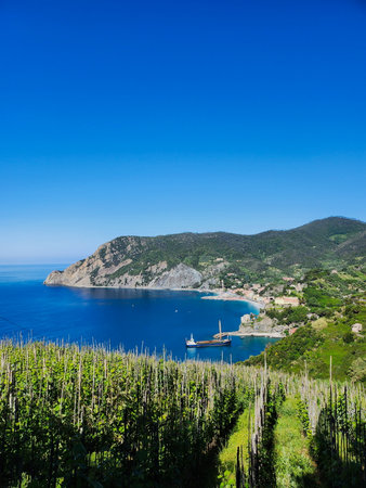 Mediterranean Coastline with Blue Sea