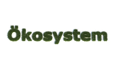 oekosystem