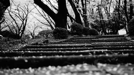 Jangbok Mountain Sculpture Park