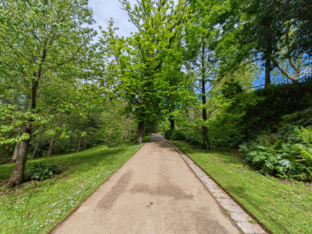 Peaceful walking path winding through a lush park filled with tall green trees and fresh vegetation....