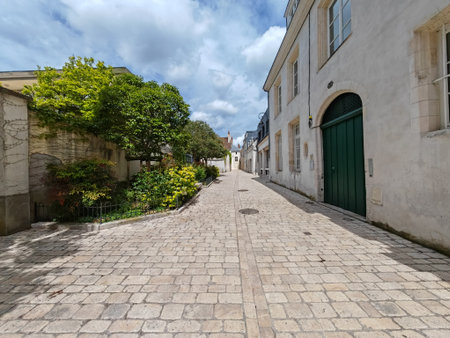 Narrow cobblestone street with historic houses and greenery in a European town