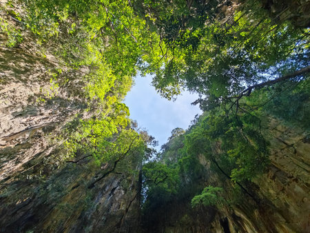 Sky View Through Tropical Limestone Canyonの写真素材