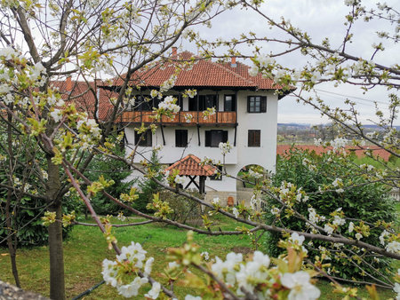 Traditional white house with red tile roof and balcony behind blossomsの写真素材