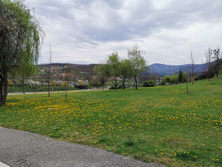 Spring meadow with yellow flowers and distant hillsの写真素材