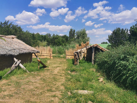 Thatched huts and timber shelter in rural open air museumの写真素材