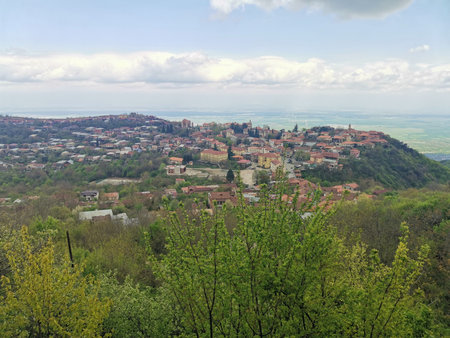 Hilltop town above green forest valley
