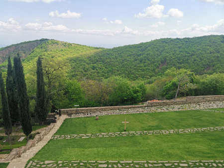 Terraced lawn with stone paths and forest view