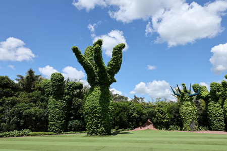 Large leafy topiary forms on bright lawnの写真素材