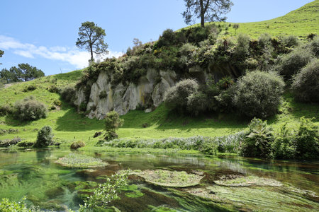 Clear River Flowing Below Rocky Hillside Green Vegetation