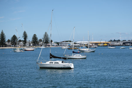 Moored Sailboats Near Coastal Marina Waterfrontの写真素材
