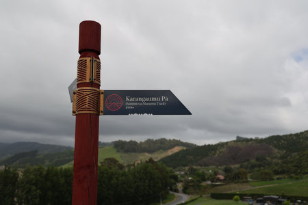 Wooden Wayfinding Post Beside Cloudy Green Hillside
