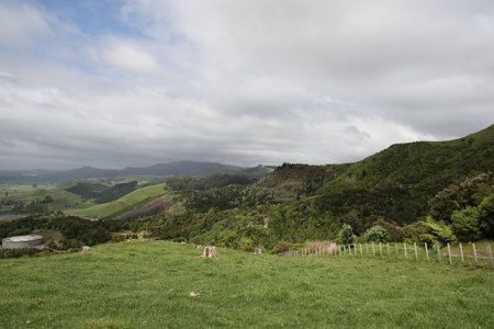Rolling Hillside Pasture Under Overcast Cloudy Sky