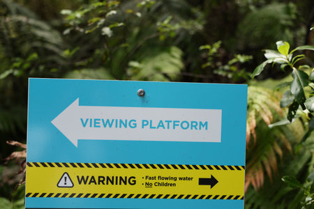 Directional Warning Sign Beside Forestの写真素材