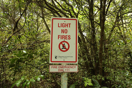 Light no Fires Fire Emergency Dial 111 Forestの写真素材