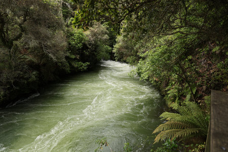 Green River Flowing Through Dense Forest Gorgeの写真素材
