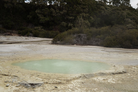 Waiotapu Thermal Wonderland Geothermal Mud Pool Beside Forested Hillside Landscapeの写真素材