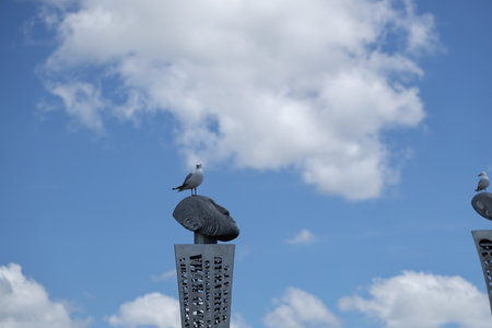Seagull Perched Sculpted Metal Post Outdoorsの写真素材