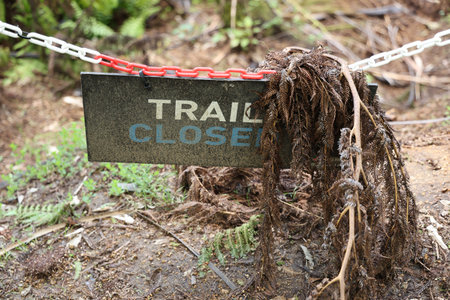 Trail Closed Warning Sign Forest Groundの写真素材