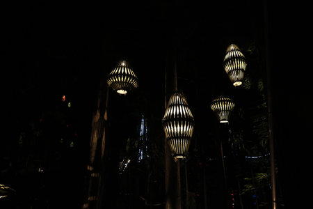 New Zealand Rotorua Hanging Lanterns Glow Among Dark Forest Trees 28.11.2025の写真素材