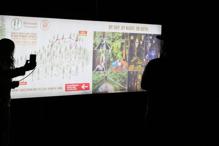 New Zealand Rotorua Redwoods Treewalk Day Night Sign Visitors 28.11.2025