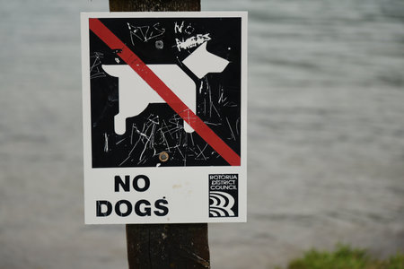 New Zealand Rotorua Dogs Lakeside Warning 28.11.2025の写真素材