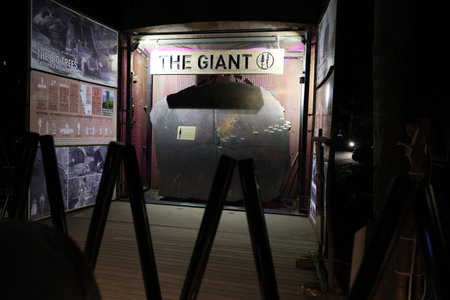 New Zealand Rotorua Giant Exhibit Nighttime Redwood Trunk Displayの写真素材