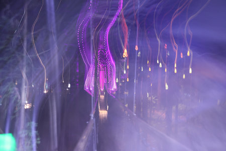 New Zealand Rotorua Abstract Purple Light Trails Over Forest Walkwayの写真素材