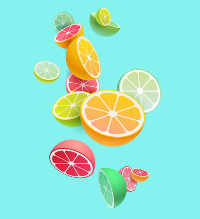 Citrus fruits composition. Vector styling.のイラスト素材