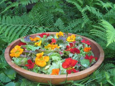 Flower saladの写真素材