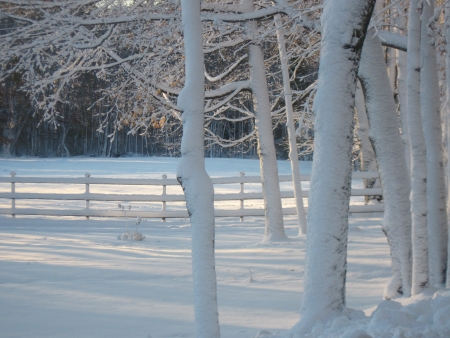 Morning After Snowstormの写真素材