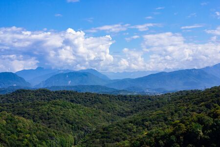 Mountains with Christmas trees against the blue sky with clouds. Beautiful panoramic view of firs and larches coniferous forest against blue sky.の写真素材